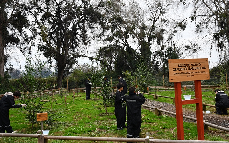 Estudiantes protegen Bosque Nativo en Callejones